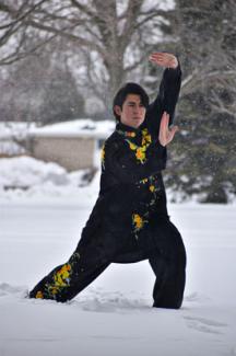 Toronto Tai Chi for senior homes and Corporations Toronto Tai Chi for senior homes and Corporations