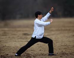 Corporate Tai Chi and private Tai Chi in Toronto Corporate Tai Chi and private Tai Chi in Toronto