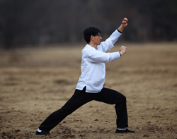 Corporate Tai Chi and private Tai Chi in Toronto