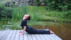Cours de Yoga au Travail et pour Ainés Montréal et Rive Sud Cours de Yoga au Travail et pour Ainés Montréal et Rive Sud