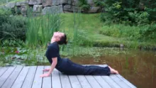 Cours de Yoga au Travail et pour Ainés Montréal et Rive Sud